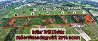 Plus de détails pour 2nd Road Rd, LaBelle, FL - Terrain à vendre