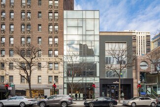 Plus de détails pour 46 E Oak St, Chicago, IL - Local commercial à louer