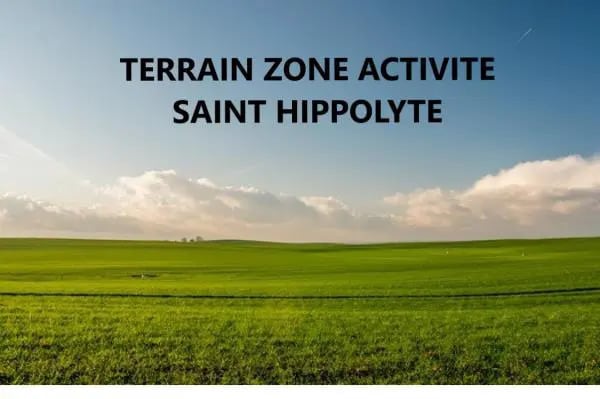 Plus de détails pour Local d’activités à vendre