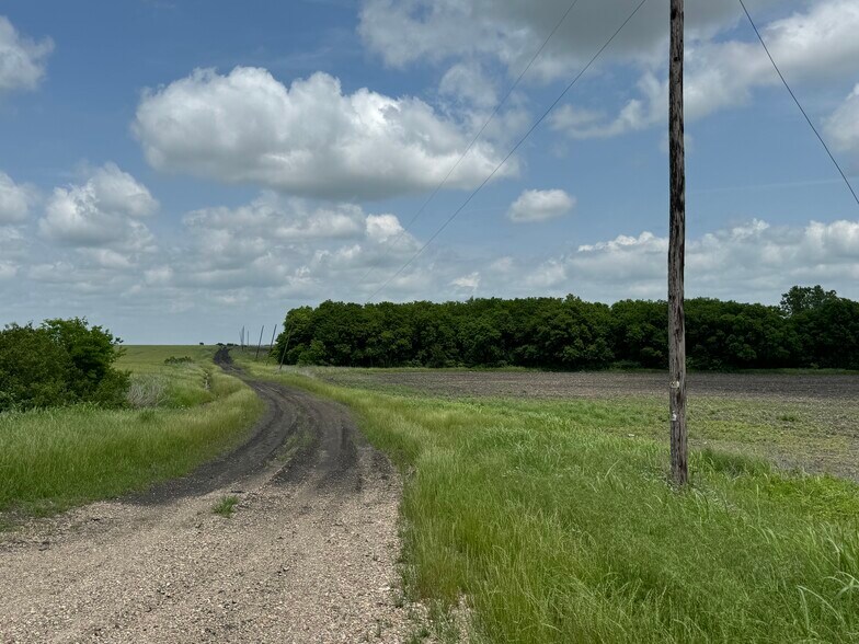 9024 FM 64, Pecan Gap, TX à vendre - Autre – Image 3 sur 20