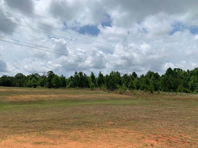 15414 Old Highway 5 S, Grove Hill, AL à vendre - Photo principale – Image 1 sur 14