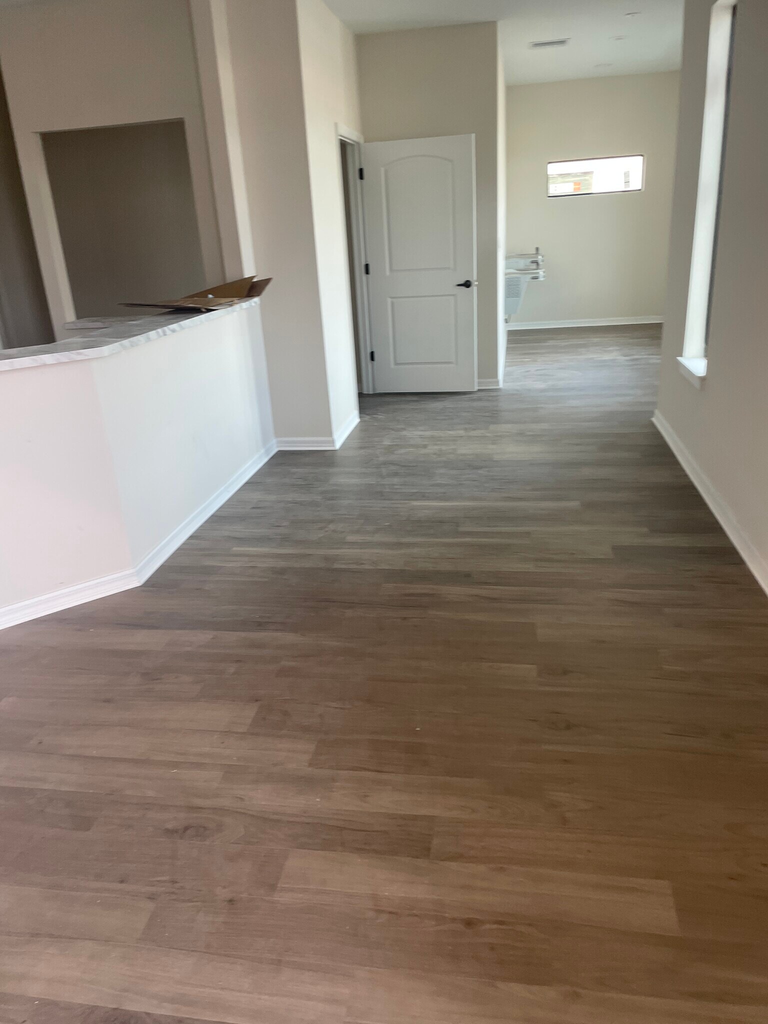 10043 Beach Verbena Dr, Riverview, FL à louer Photo principale– Image 1 sur 11