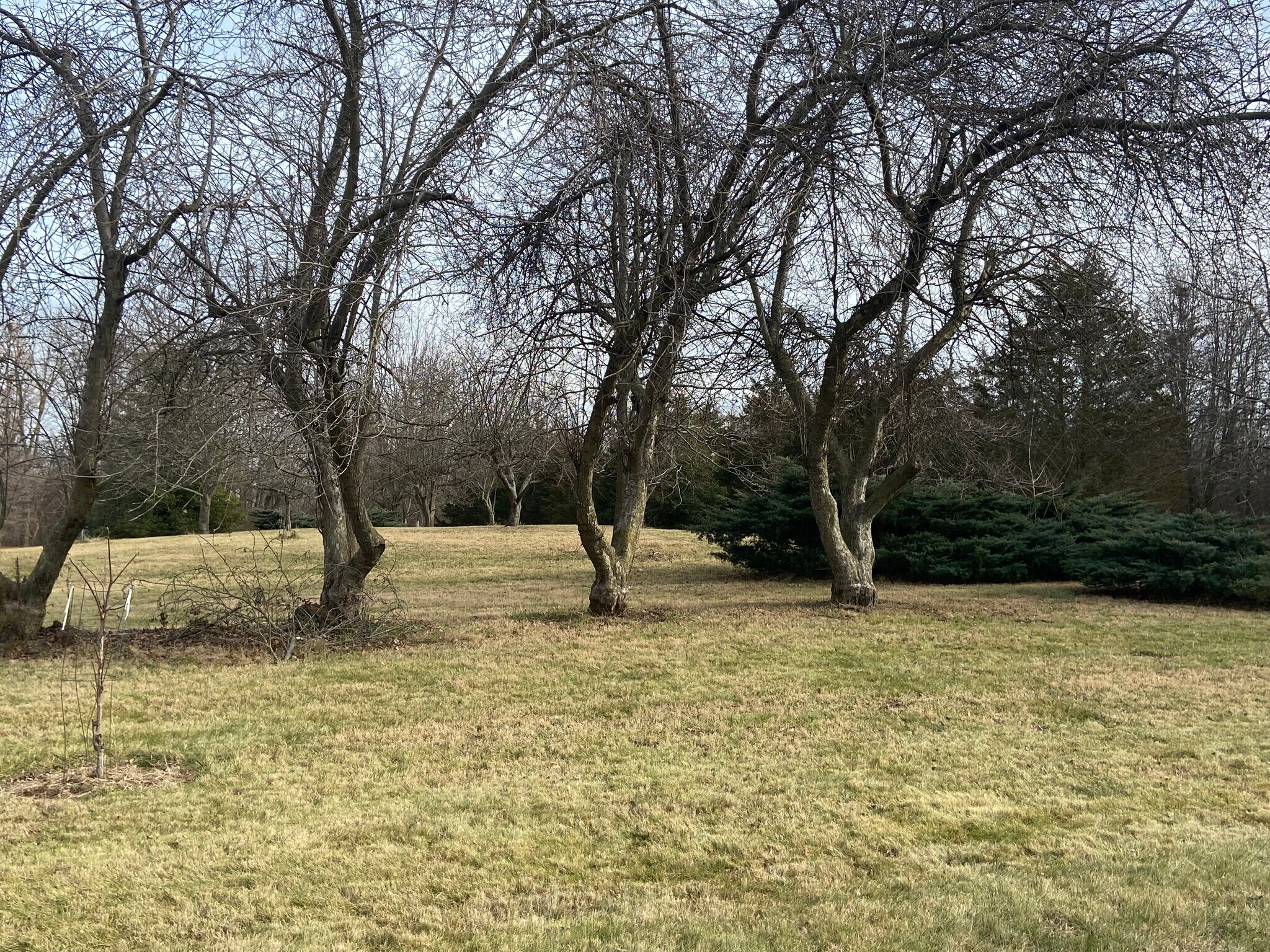 1365 W Stones Crossing Rd, Greenwood, IN à vendre Autre– Image 1 sur 12