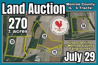 Plus de détails pour 000 State Route 156, Valmeyer, IL - Terrain à vendre