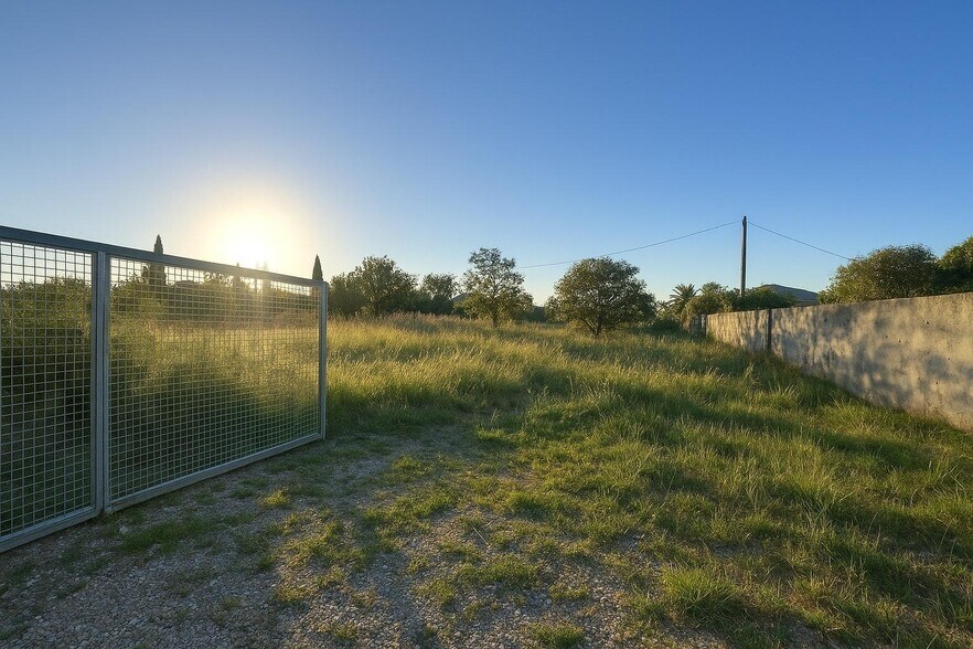 Terrain dans Carcaixent, Valencia à vendre - Photo principale – Image 1 sur 4