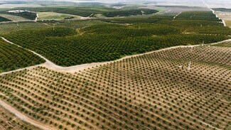 Plus de détails pour 14265 Highway 65, Bakersfield, CA - Terrain à vendre