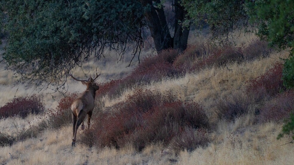 47069 Crump Ln, Coalinga, CA à vendre - Photo principale – Image 1 sur 13