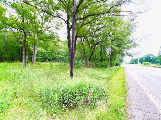7584 NY-97, Narrowsburg, NY à vendre - Photo de l’immeuble – Image 2 sur 10