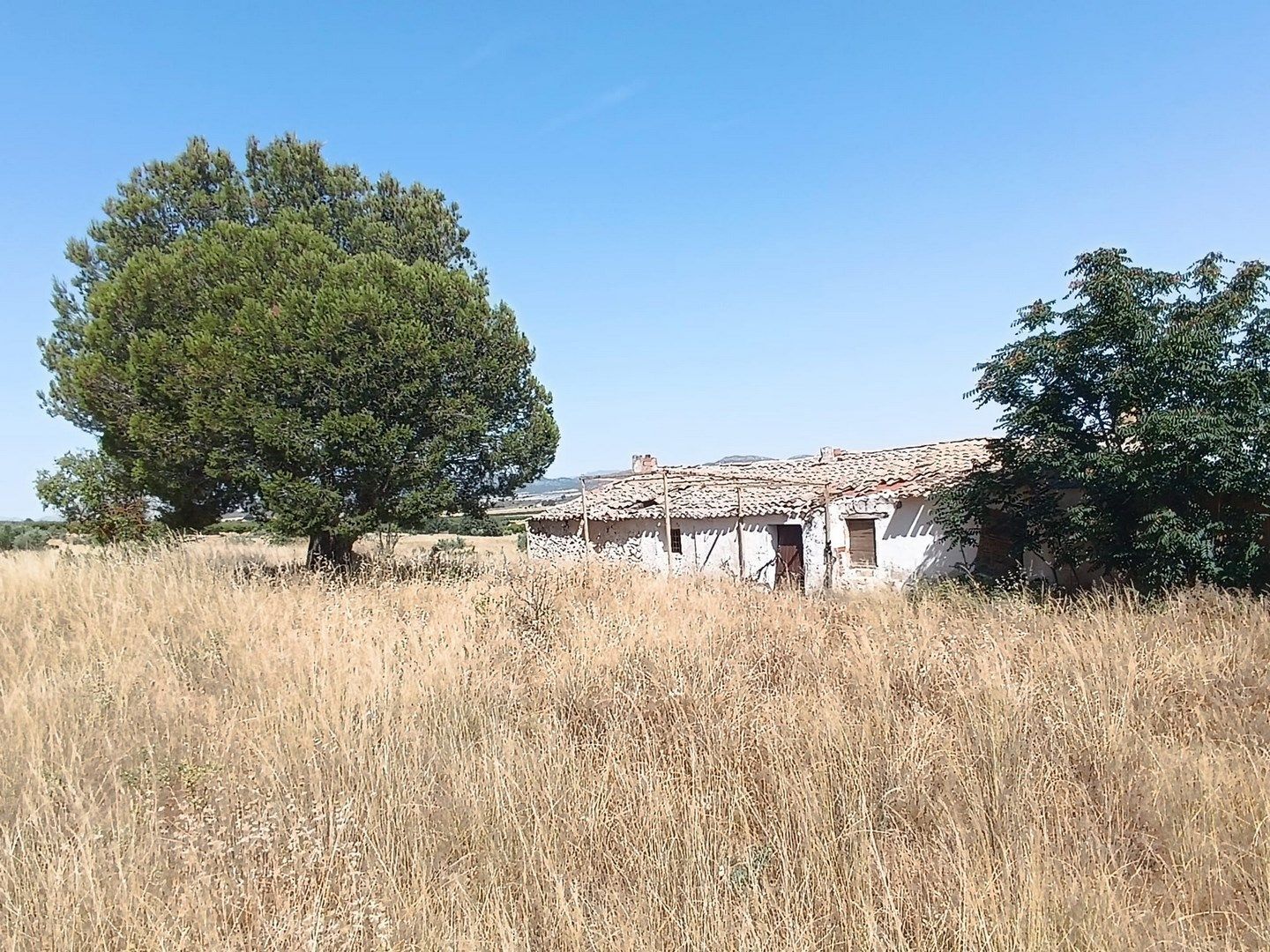 Terrain dans Yecla, Murcia à vendre Photo de l’immeuble– Image 1 sur 17