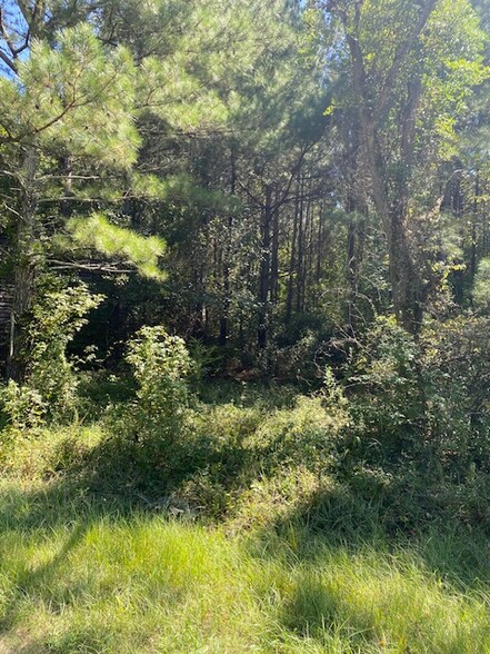 Harrells Hwy, Garland, NC à vendre - Autre – Image 1 sur 5