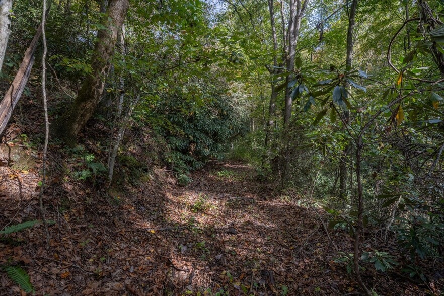 4040 Asheville Hwy, Pisgah Forest, NC à vendre - Autre – Image 2 sur 33