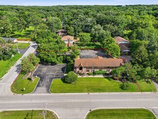 Plus de détails pour 8265 S Archer Ave, Willow Springs, IL - Bureau à vendre