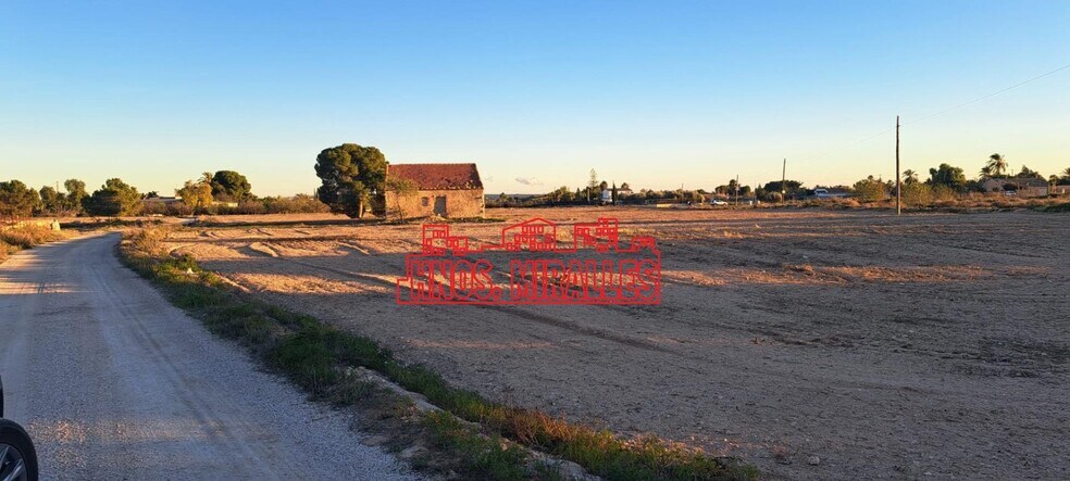 Terrain dans Elche, Alicante à louer - Photo de l’immeuble – Image 3 sur 4