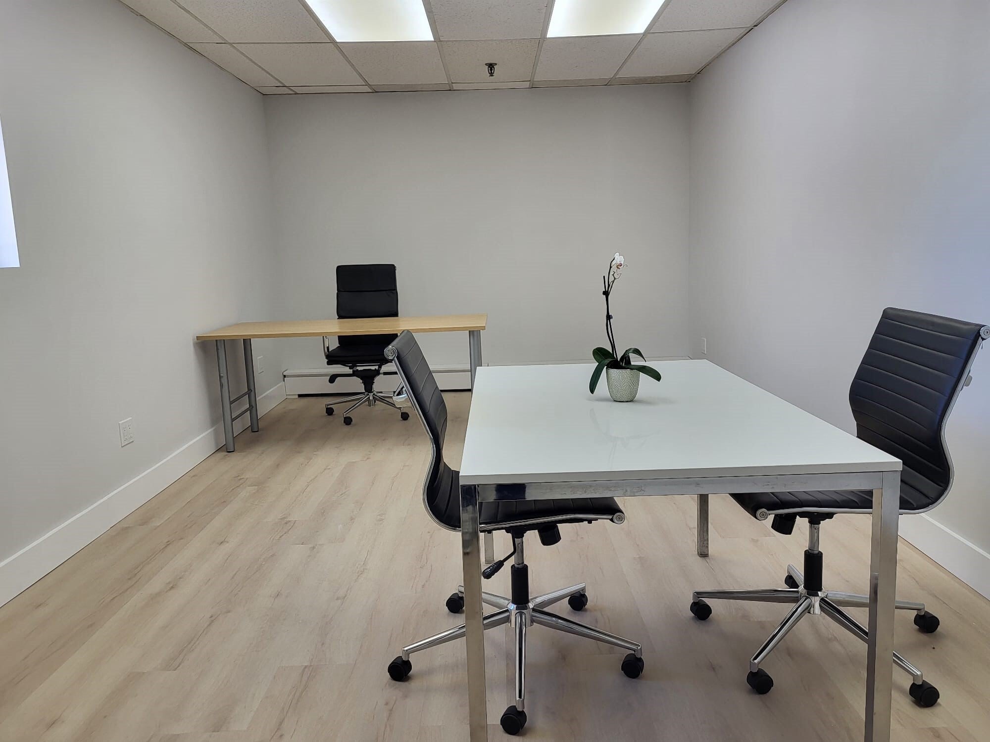 66-70 Randall Ave, Rockville Centre, NY à louer Photo intérieure– Image 1 sur 3