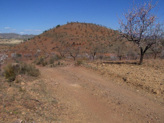 Terrain dans Lorca à vendre - Plan de site – Image 2 sur 6