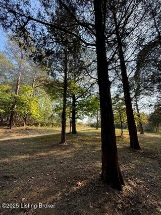 Plus de détails pour 11407 Bardstown Creek Rd, Louisville, KY - Terrain à vendre
