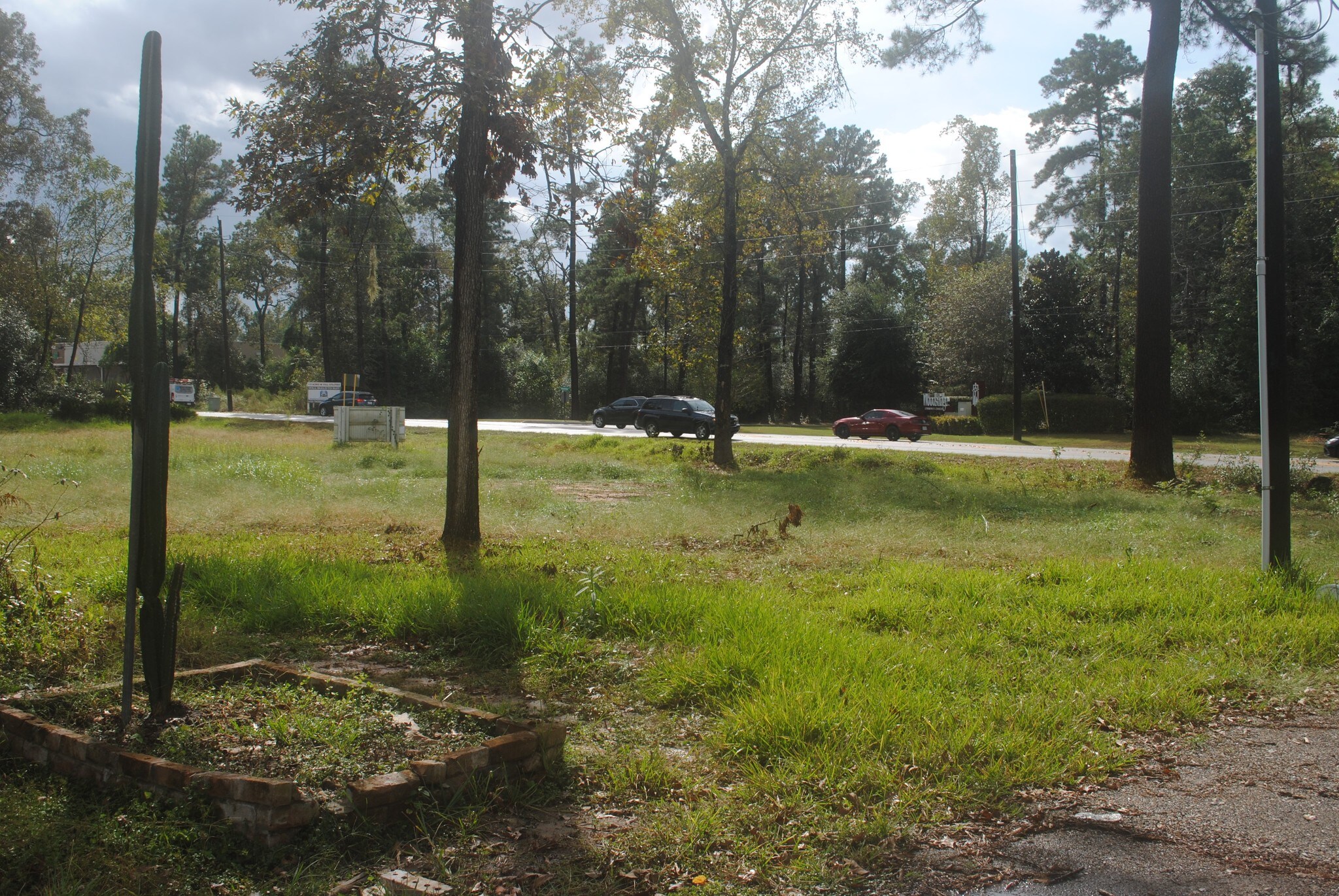 25150 Gosling Rd, Spring, TX à louer Photo principale– Image 1 sur 8