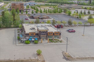 Plus de détails pour 1243 Old Steese Hwy, Fairbanks, AK - Local commercial à vendre