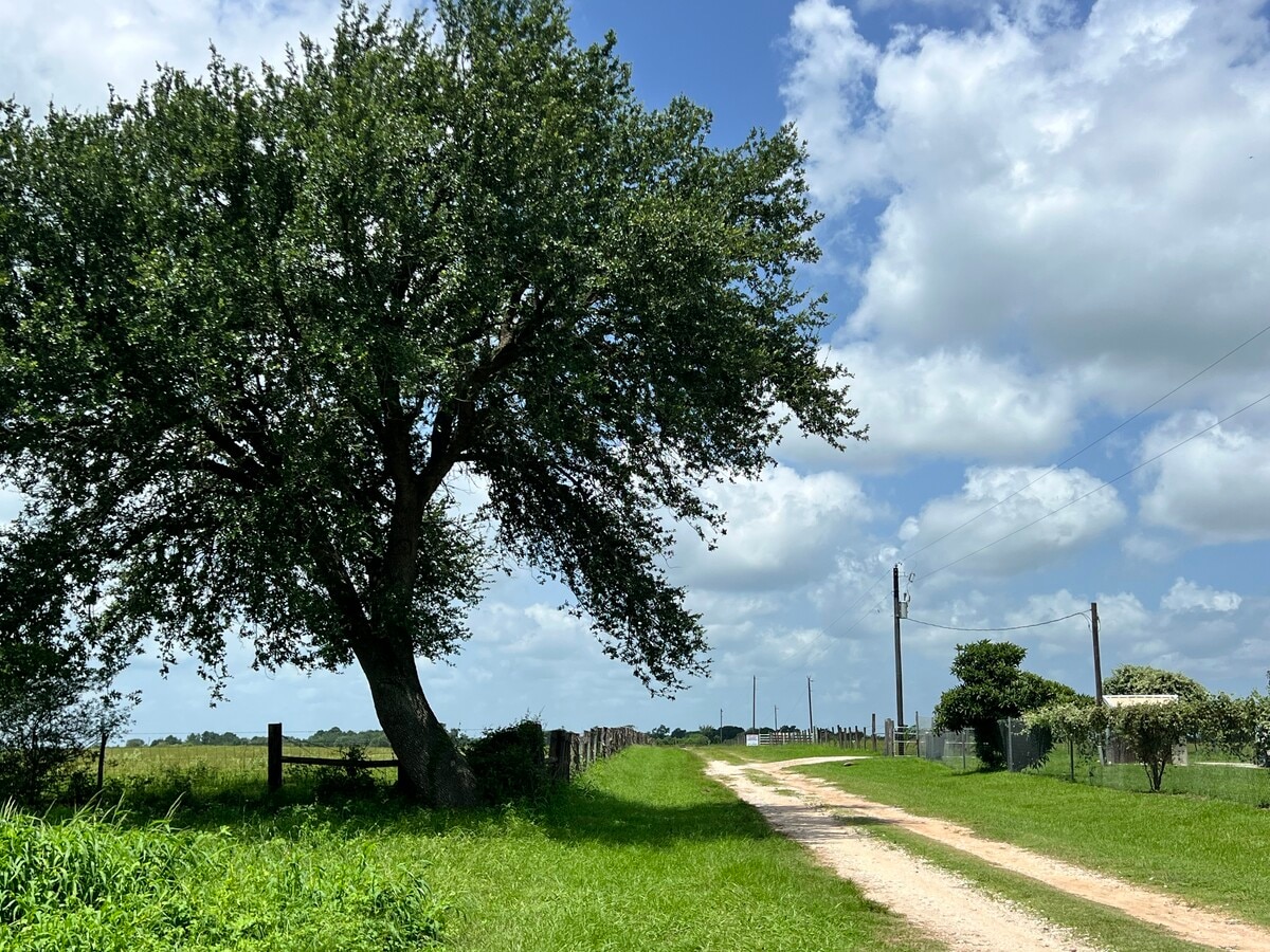 Photo de l’immeuble