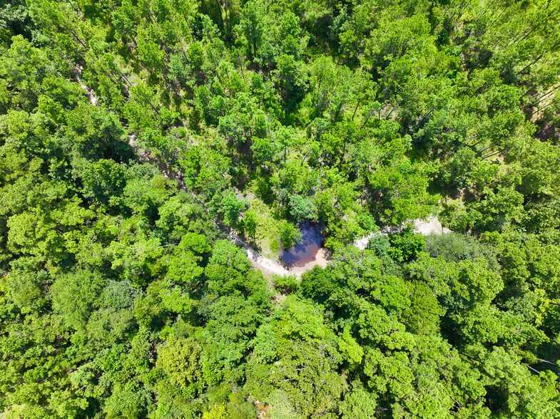 0 Slim Palmer Road, Zavalla, TX à vendre - Photo de l’immeuble – Image 3 sur 20