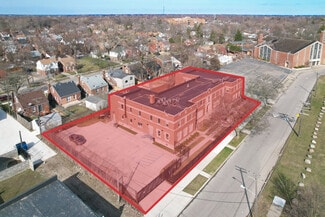 Plus de détails pour 15255 Mayfield St, Detroit, MI - Spécialisé à vendre