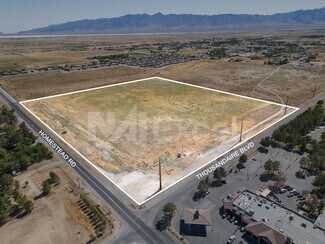 Plus de détails pour 2801 E Thousandaire Blvd, Pahrump, NV - Terrain à vendre