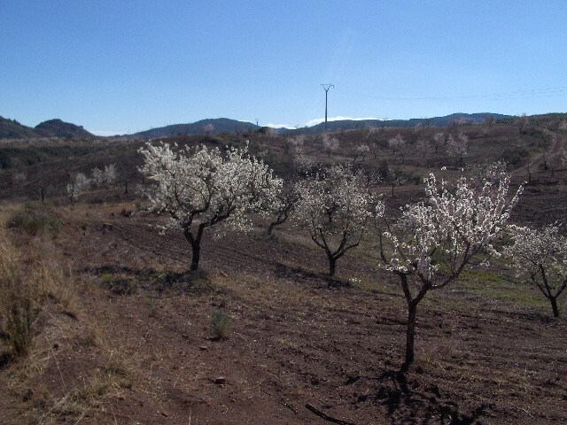Terrain dans Lorca à vendre - Photo de l’immeuble – Image 3 sur 6