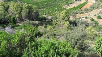 Carrer de los Naranjos, Pego, Alicante à vendre - Photo principale – Image 2 sur 10