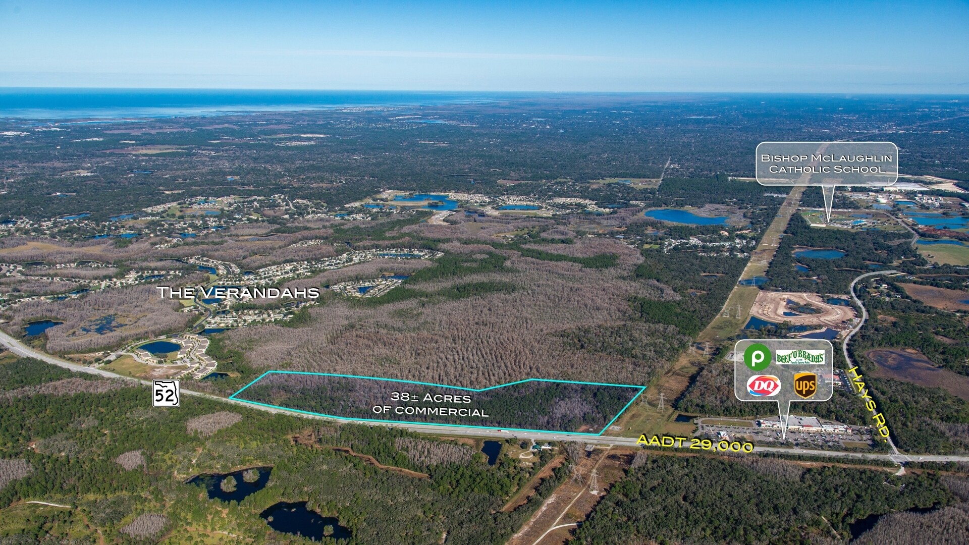 14833 State Road 52, Hudson, FL à vendre Photo principale– Image 1 sur 8