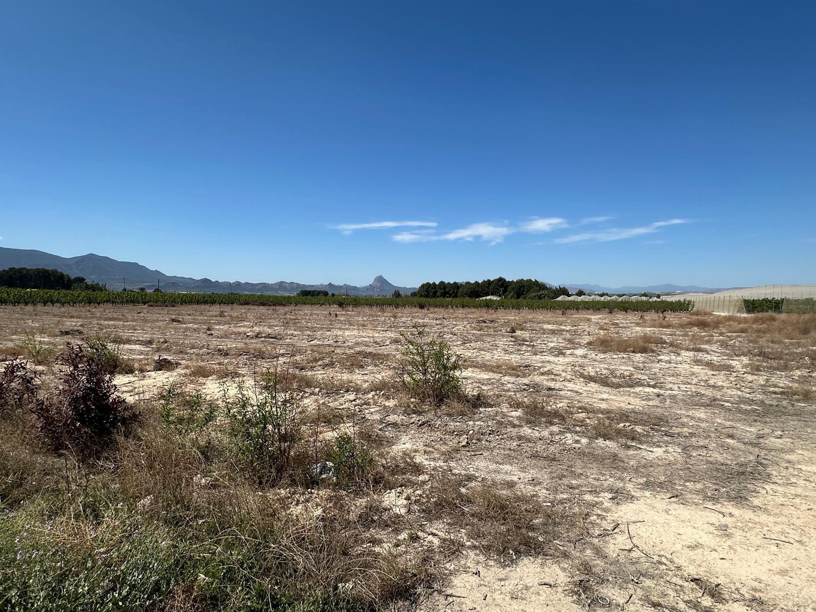 Terrain dans Cieza, Murcia à vendre Plan de site– Image 1 sur 4