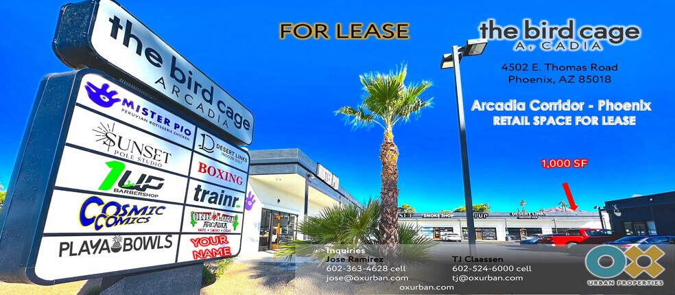 4502-4528 E Thomas Rd, Phoenix, AZ à louer - Photo de l’immeuble – Image 3 sur 15