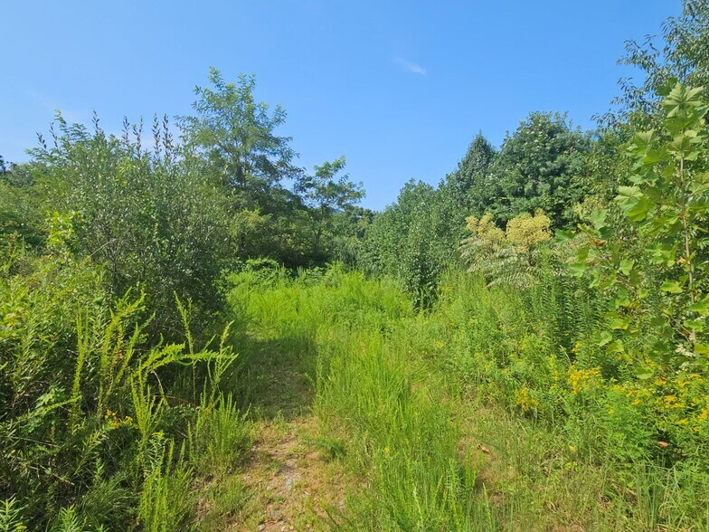 522 Buckeye Access Road, Swannanoa, NC à vendre - Photo de l’immeuble – Image 2 sur 46