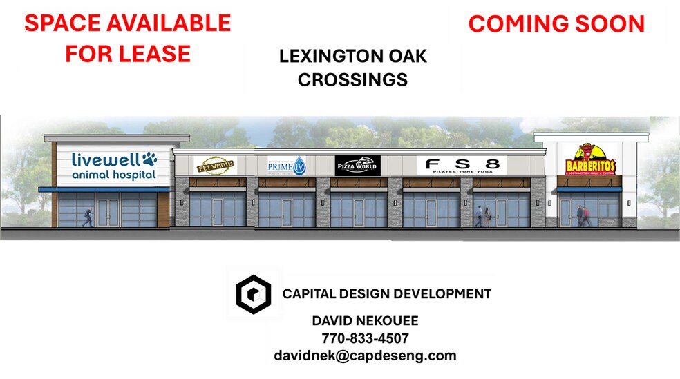 26871 Wesley Chapel Blvd, Wesley Chapel, FL à louer - Photo de l’immeuble – Image 1 sur 3
