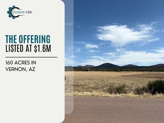 Plus de détails pour Vernon County rd, Vernon, AZ - Terrain à vendre