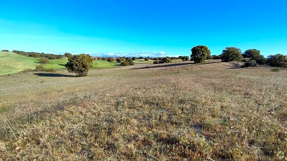 Terrain dans Villamantilla, Madrid à vendre - Photo principale – Image 1 sur 14