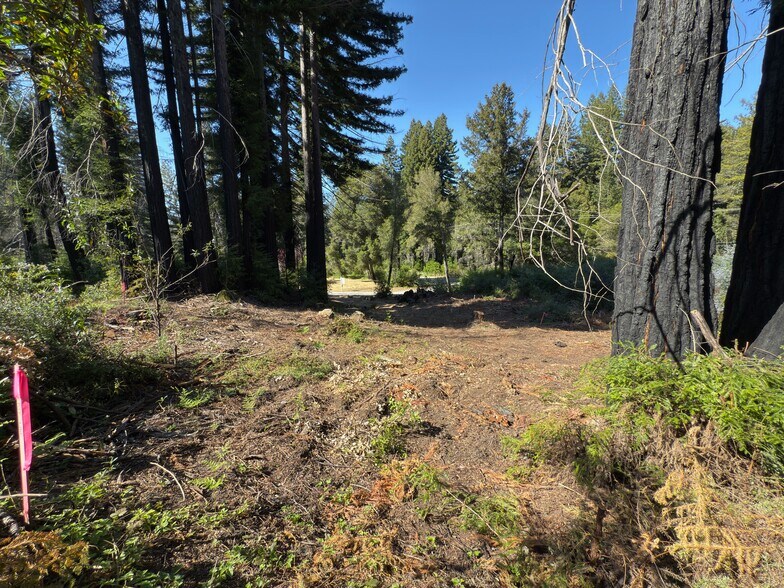 0 Fallen Leaf Drive, Boulder Creek, CA à vendre - Photo de l’immeuble – Image 3 sur 38