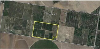 Plus de détails pour 0 Mile 17 Rd, Edinburg, TX - Terrain à vendre