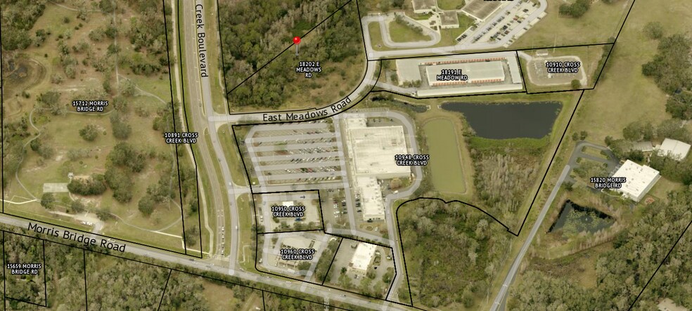 18202 Meadows rd, Tampa, FL à vendre - Photo de l’immeuble – Image 3 sur 11