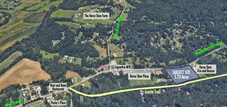 Plus de détails pour 3740 Brevard Rd, Horse Shoe, NC - Terrain à vendre