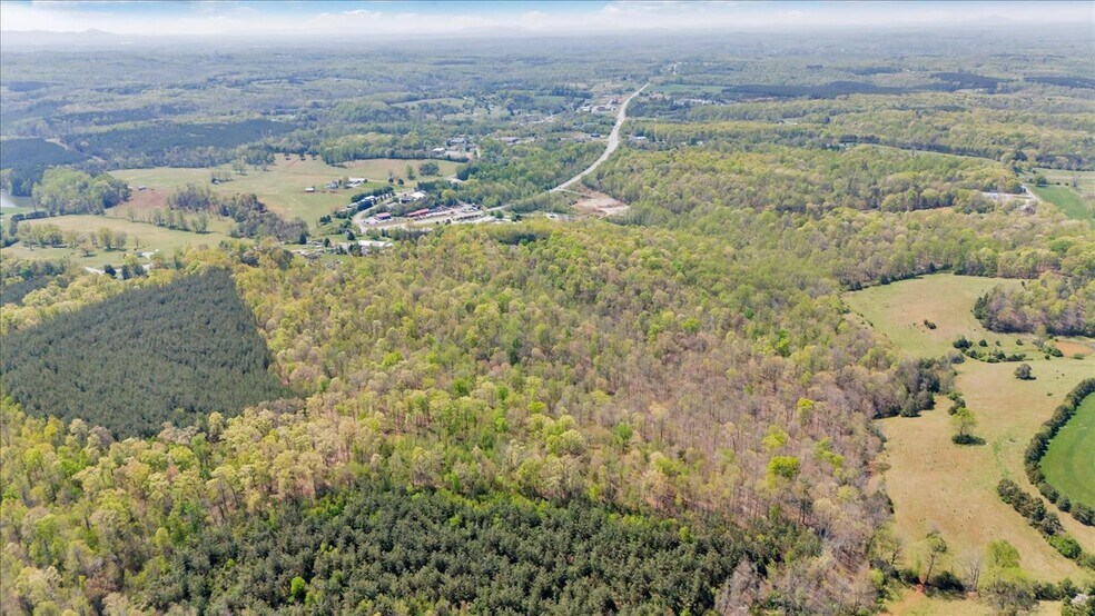12173 Moneta Rd, Moneta, VA à vendre - Aérien – Image 1 sur 88