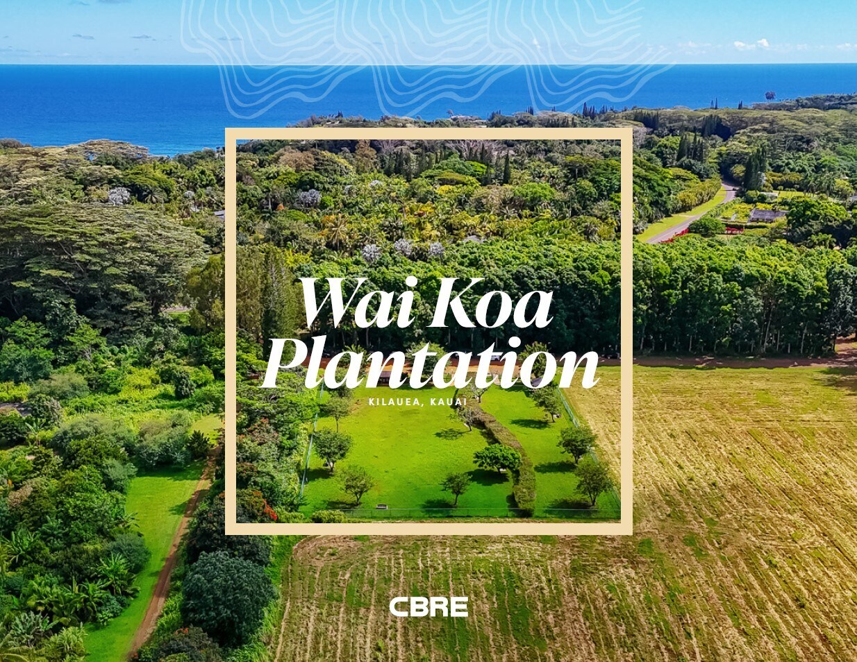 5545 Kahiliholo Rd, Kilauea, HI à vendre Photo principale– Image 1 sur 11