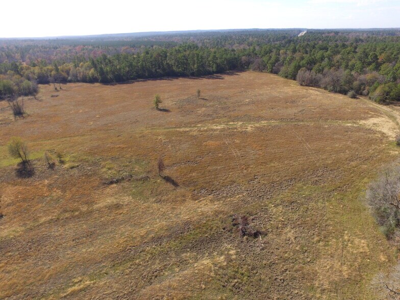 14.16 Ac Tract 2 TBD Percy Howard rd, Huntsville, TX à vendre - Photo de l’immeuble – Image 2 sur 4