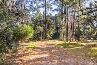 Plus de détails pour 5235 Ogeechee Rd, Savannah, GA - Terrain à vendre