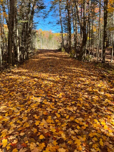 370 Route 3 N, Carroll, NH à vendre - Photo de l’immeuble – Image 3 sur 5