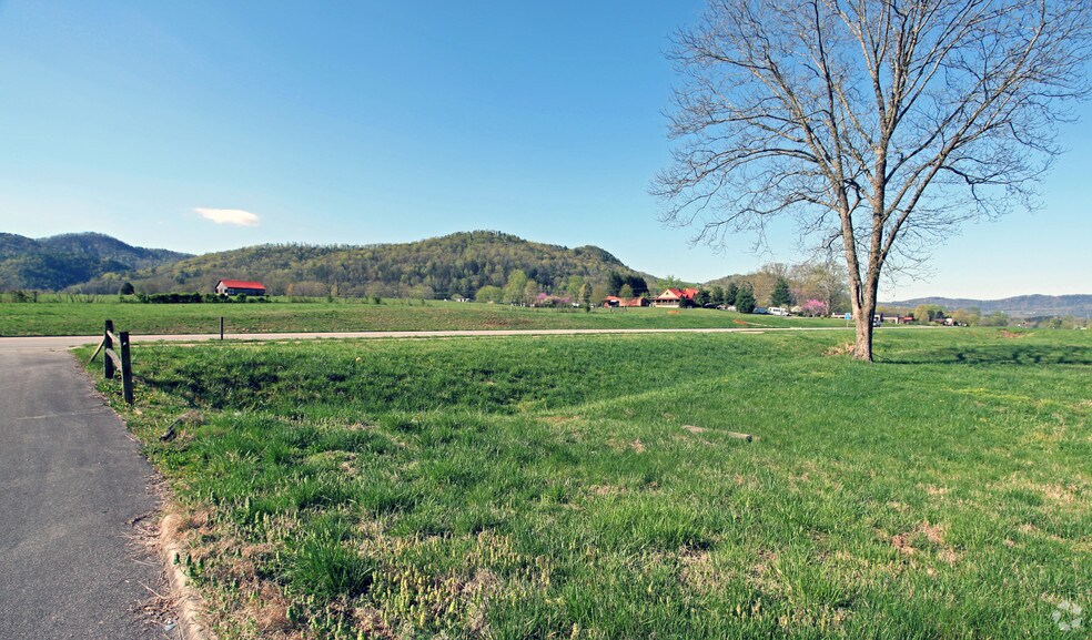 7911 E Lamar Alexander Pky, Townsend, TN à vendre - Photo de l’immeuble – Image 2 sur 4