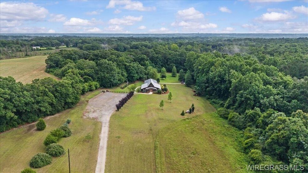 4950 S County Road 20, Ozark, AL à vendre - Photo de l’immeuble – Image 2 sur 43
