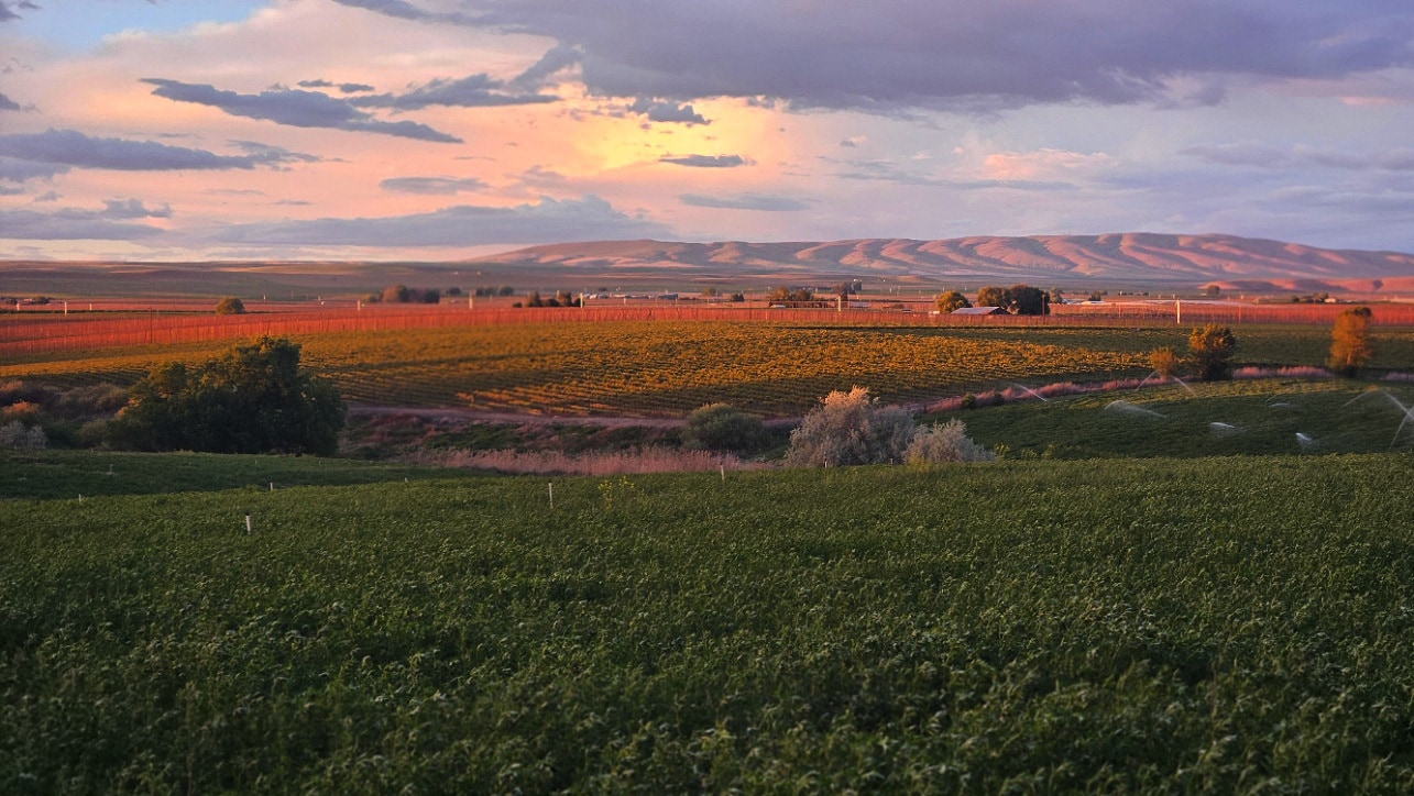 125498 W Mccreadie Rd, Prosser, WA à vendre Photo principale– Image 1 sur 13