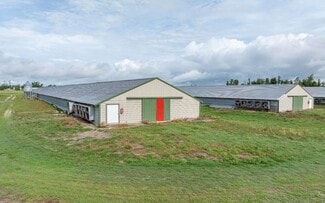 Plus de détails pour SW Ford Road, Mayo, FL - Terrain à vendre