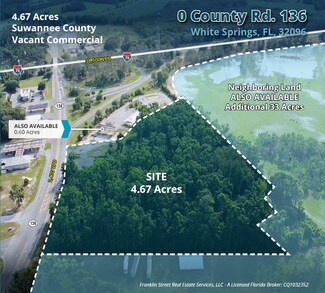 Plus de détails pour 2943 County Road 136, White Springs, FL - Terrain à vendre