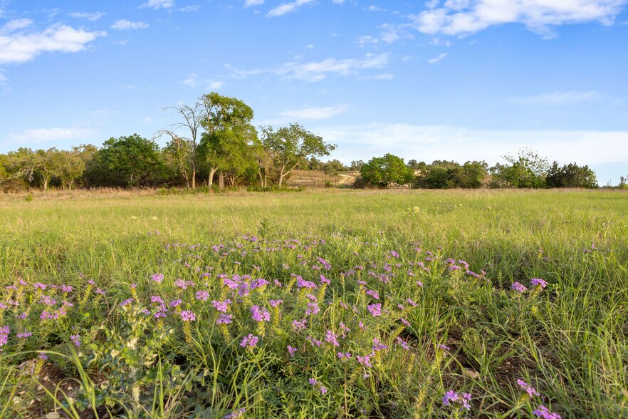 103 Mount Gainor Rd, Dripping Springs, TX à vendre - Photo de l’immeuble – Image 2 sur 10